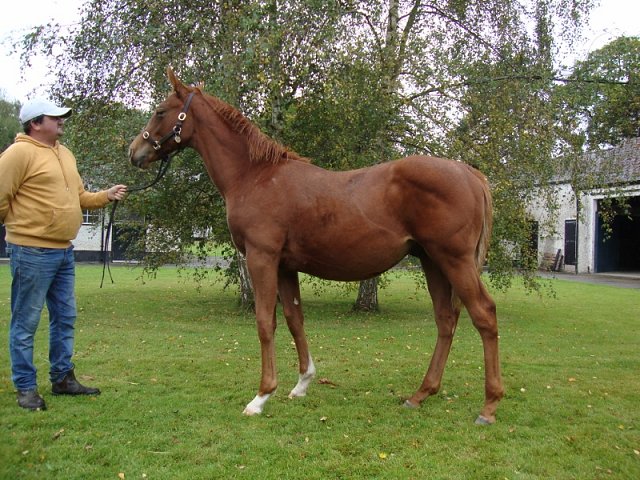 It's Tim wins at Chelmsford on 1st May 2025