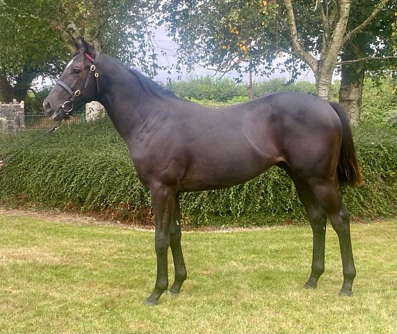 Kitaro Kich second at Kempton on 10th October 2025