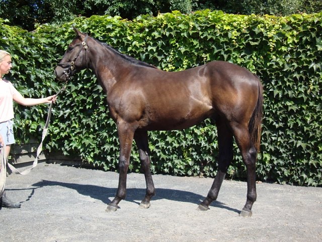 Kitaro Kich second at Kempton on 21st April 2025