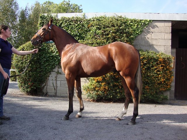 Kupa River third at Musselburgh on 13th May 2019