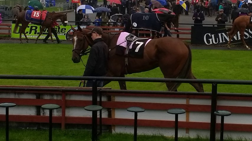 Kupa River third at Wetherby on 28th April 2019