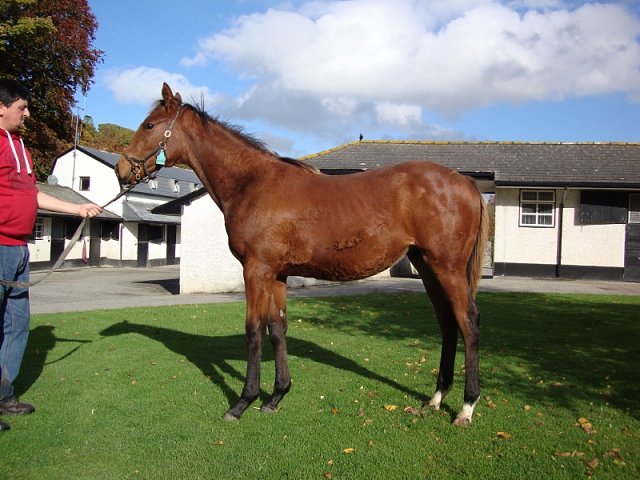 Lansky wins at Kempton