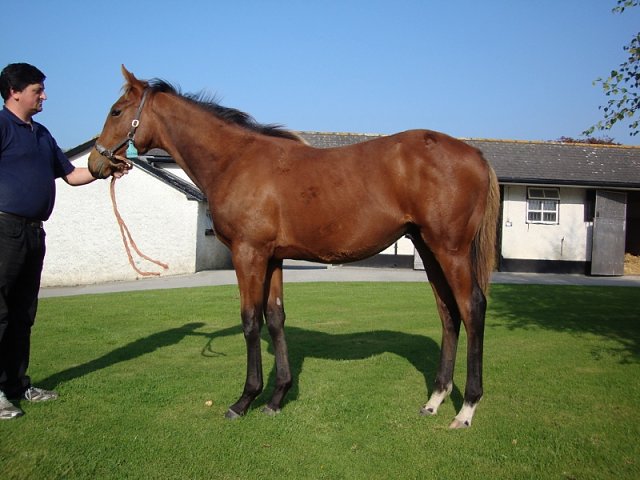 Lansky third in Group 3 Tattersalls Acomb Stakes