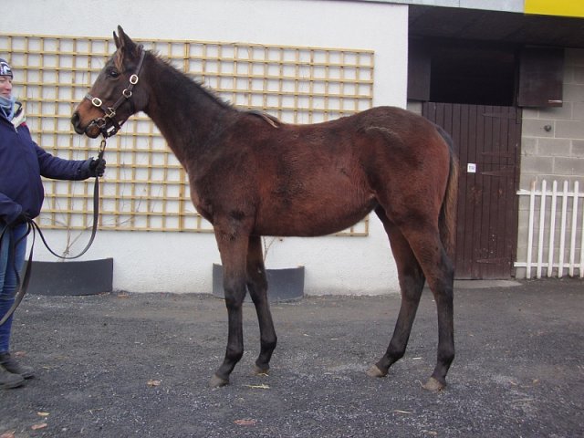 La Piaciona wins at Rome, Italy on 29th September 2020
