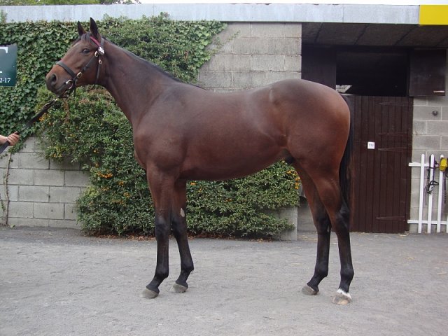 Lascar second at Le Croise Laroche