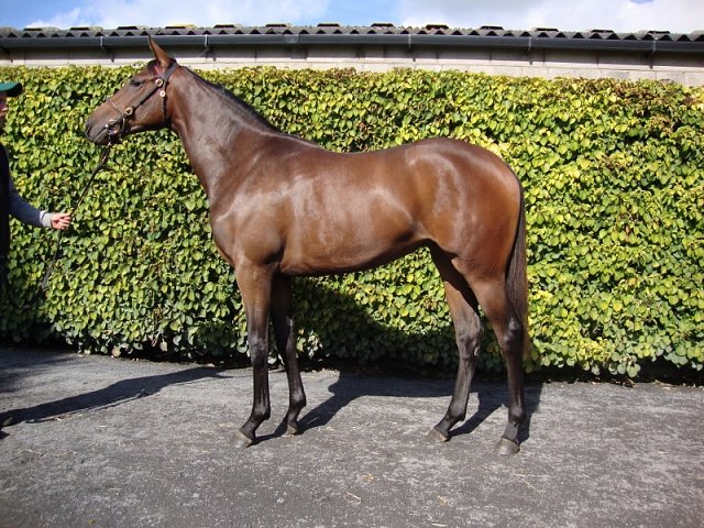 Lavender wins at Santa Anita on 3rd October 2020