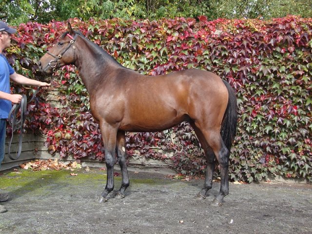 Liberal second at Del Mar on 7th August 2020