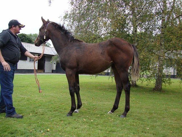 Louis Barthas third at Sale, Victoria on 30th March 2025