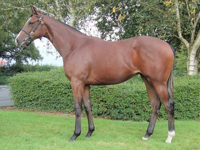 Lovely Mana third at Dundalk on 3rd February 2023
