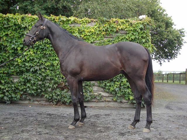 Lunch wins in Madrid, Spain, May 2018