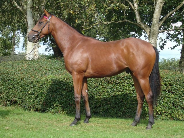 Macedonian second at Nottingham on 18th July 2025
