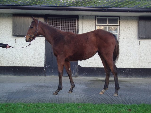 Malrescia second at Newmarket on 29th April 2022