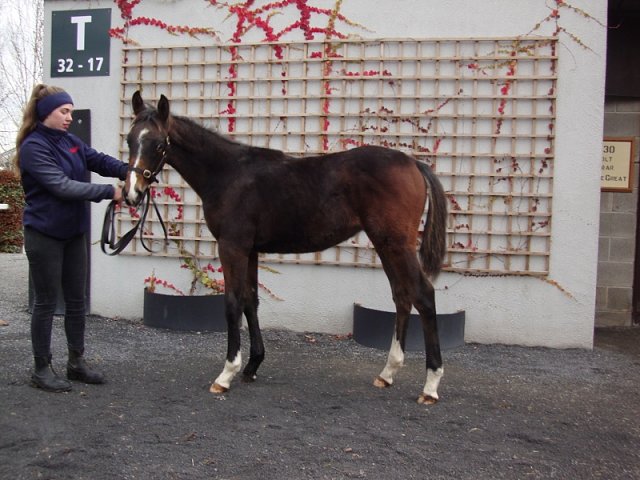 Manwal third at Ballinrobe on 19th July 2021