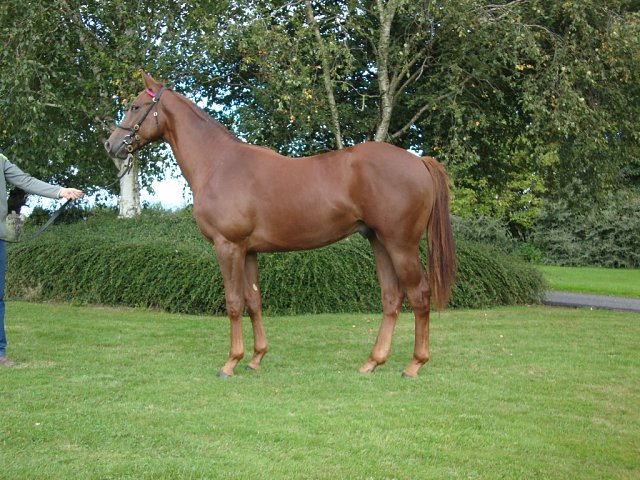 Marco Aurelio second at La Zarzuela, Spain on 18th September 2025