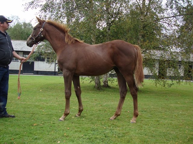 Marco Aurelio second at La Zarzuela, Spain on 18th September 2025