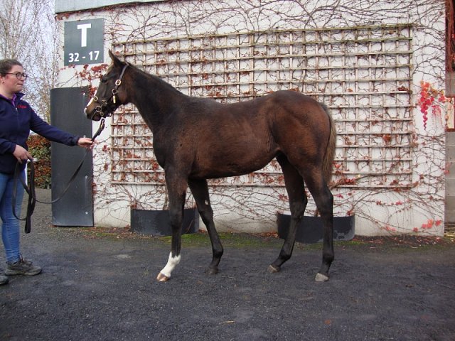 Mary Bago second at Dundalk on 2nd February 2024