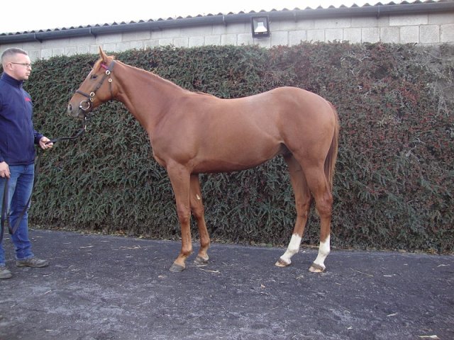 Masterwin wins Listed Race at San Siro on 11th October 2020