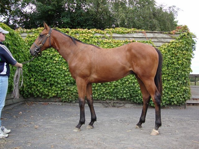 Merhoob third at Lingfield on 19th April 2019