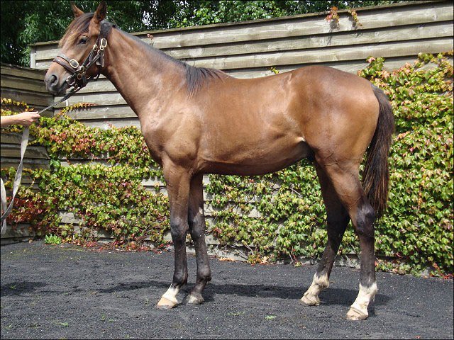 Minsk third on 3-y-o debut