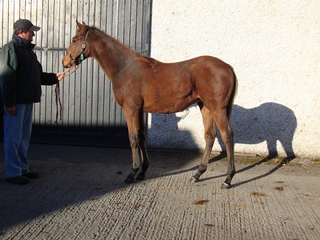 Mirrie Dancers wins at Wetherby on 6th June 2023