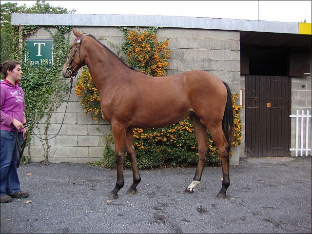 Miss Macnamara