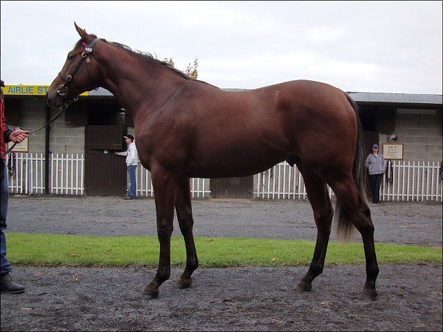 Montaser second in nursery