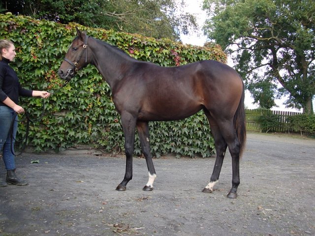 Mrs Fitzherbert third in Group 3 at Sandown on 20th August 2022