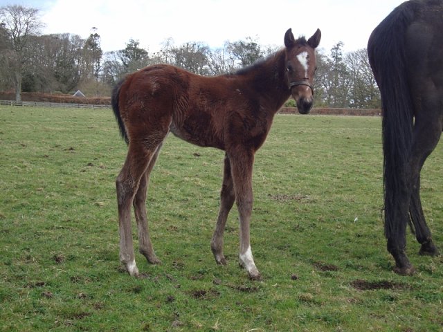 Mrs Fitzherbert third in Group 3 at Sandown on 20th August 2022