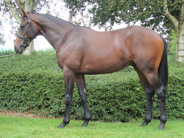 Neptune Legend wins at Bath on 22nd May 2026