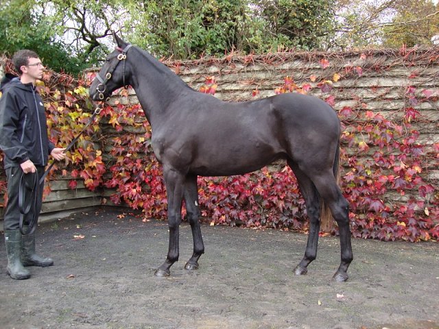 Orologio wins at Firenze, Italy on 8th April 2023