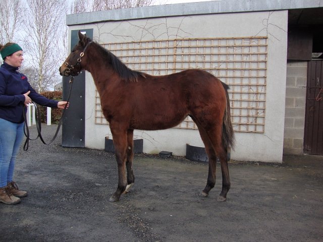 Our Class Act third at Happy Valley on 28th June 2023