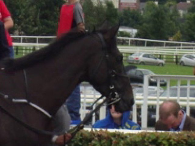 Palmones wins at Naas