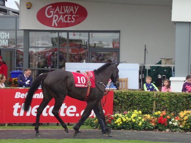 Palmones third at Ballinrobe