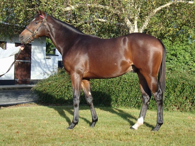 Quantum Impact wins at Pontefract on 15th September 2022