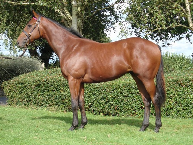Rare Change wins at Goodwood on 7th June 2026