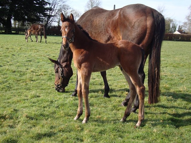 Rare Change wins at York on 14th May 2025