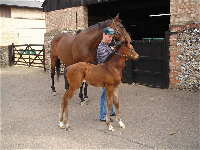 Rasheed finished third at Kempton
