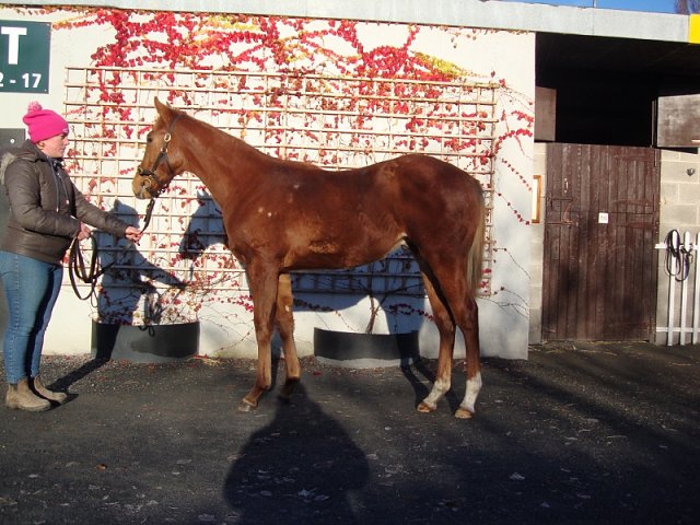 Reigning Profit third at Wolverhampton on 21st April 2025