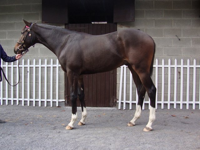 Revolver wins at Pontefract on 15th June 2020