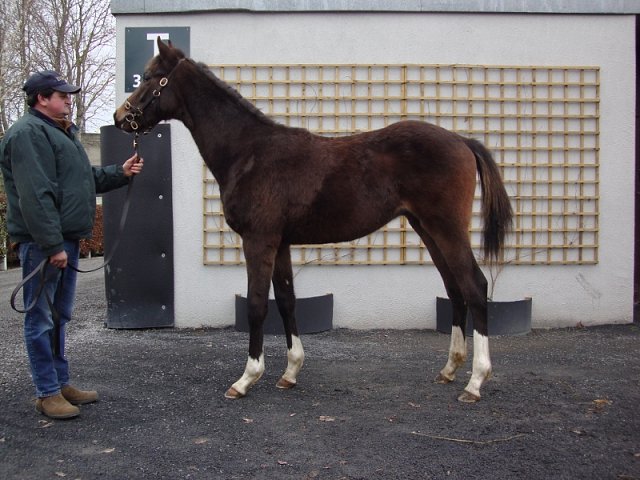 Revolver wins at Pontefract on 15th June 2020