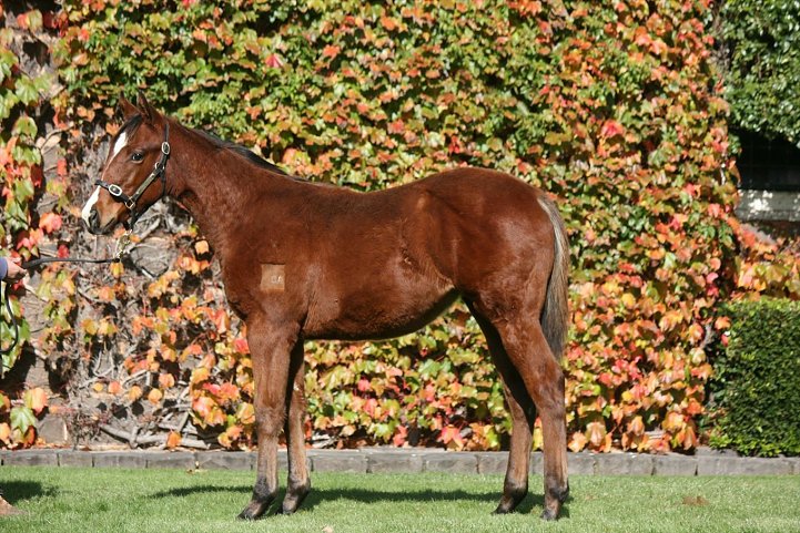 Reynaire wins at Ballarat on 29th June 2021