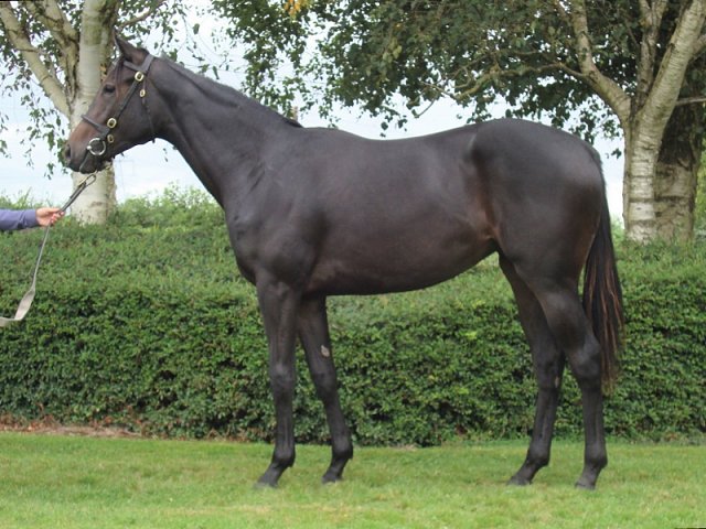 Rose Barton second at Windsor on 26th July 2021