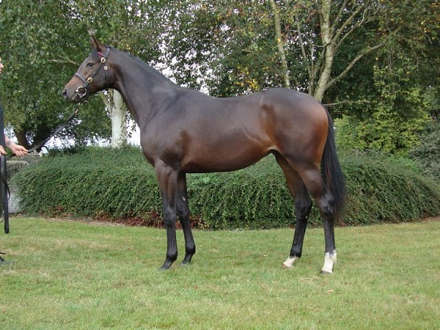 Rose Bolt wins at Bath on 26th July 2023
