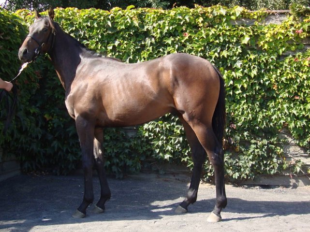 Seafarer second at Yarmouth