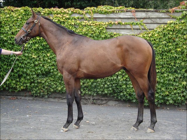 Secret Brief third at Doncaster