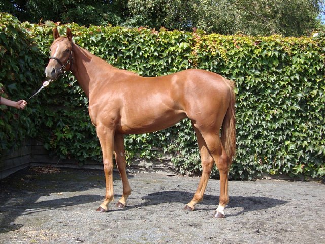 Shauyra third at Pontefract on Wednesday 10th June 2020
