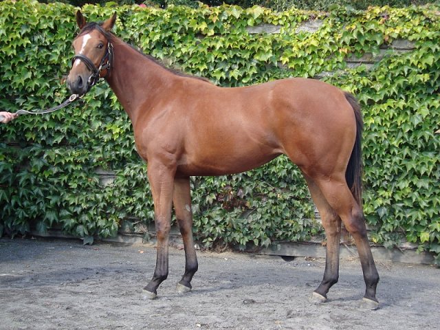 Silver Link third at Chepstow