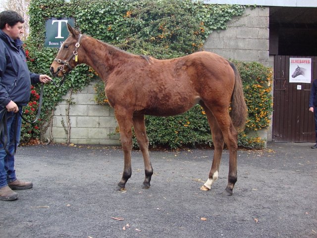 Sinndarella second at Bath on 7th August 2019