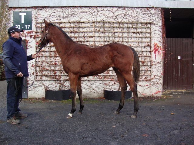 Siobhanbrogan wins at Wolverhampton on 26th February 2024