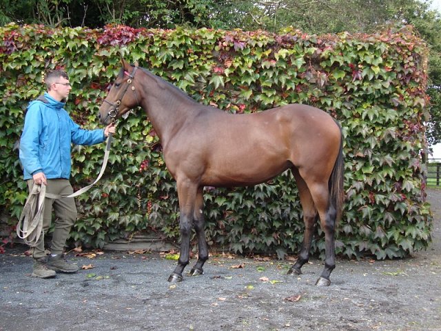 Siofra second at Newcastle on 2nd September 2022